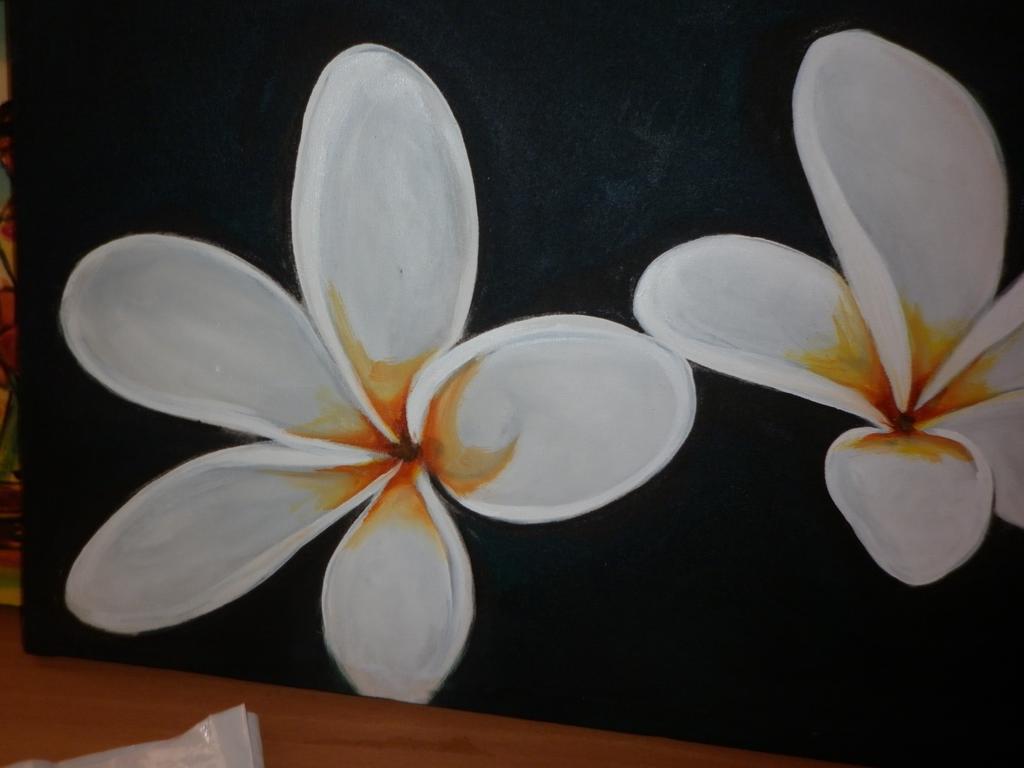Seetha'S Hostel Negombo Ngoại thất bức ảnh